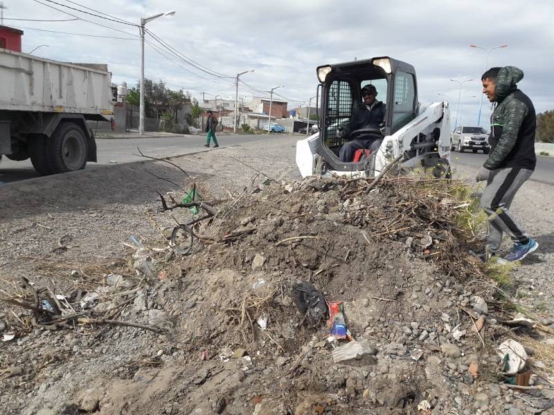 Imagen de la Noticia