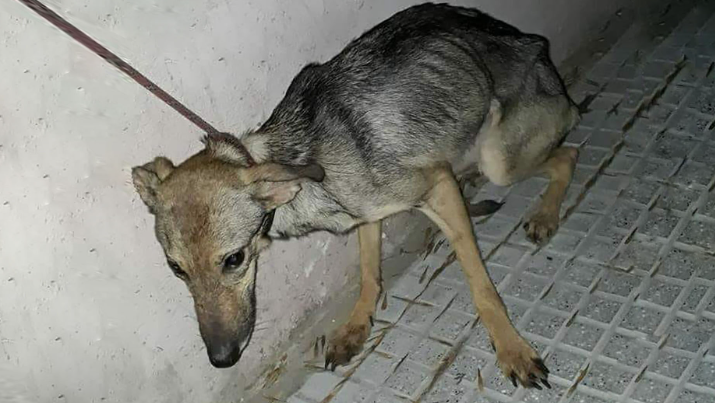 Imagen de la Noticia